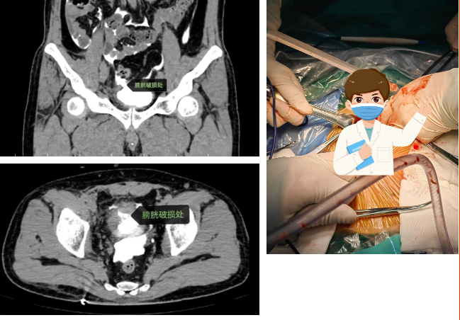 ScreenShot_2026-02-12_153500_346